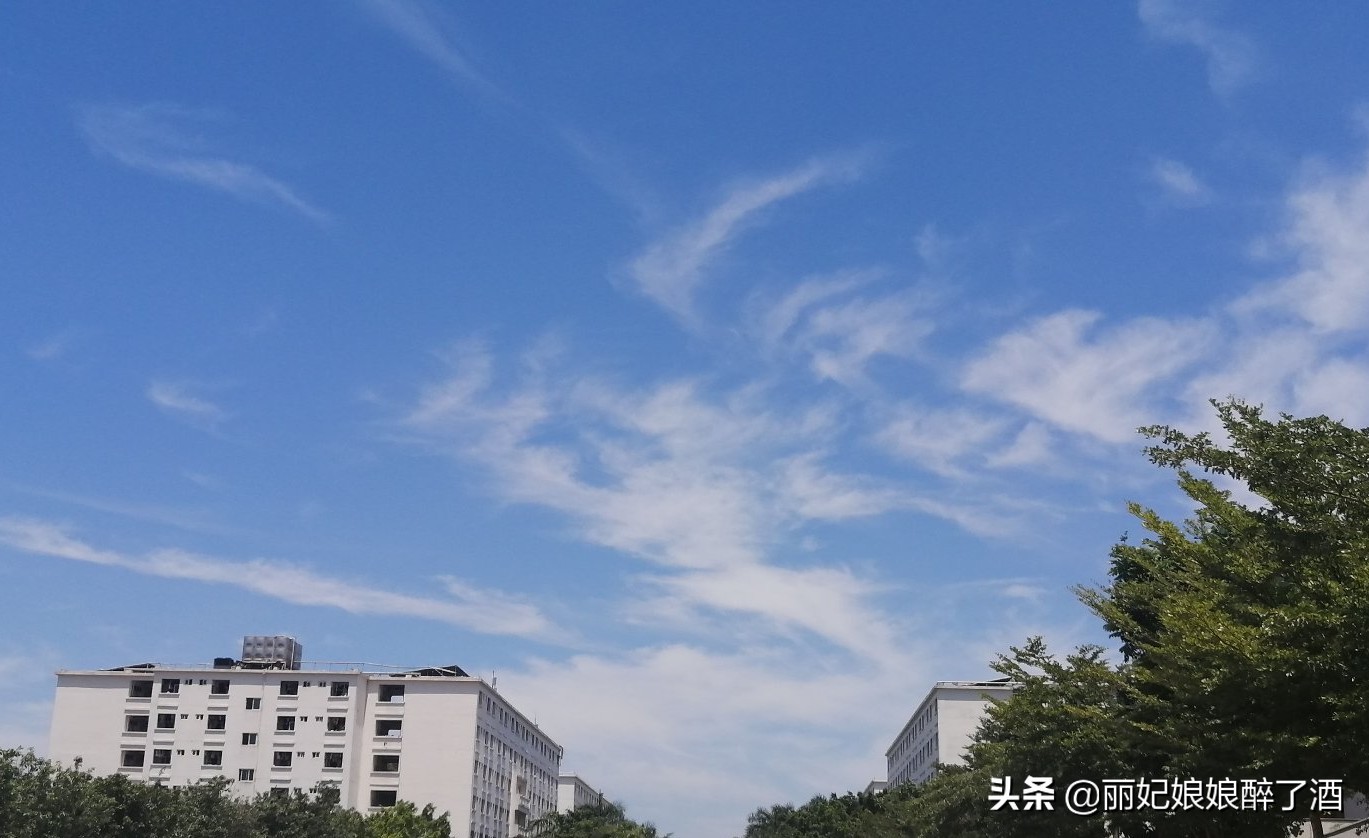 三亚停课停工停业（海南增加一例确诊，需要停课停学吗？会不会对学生的健康有影响？）