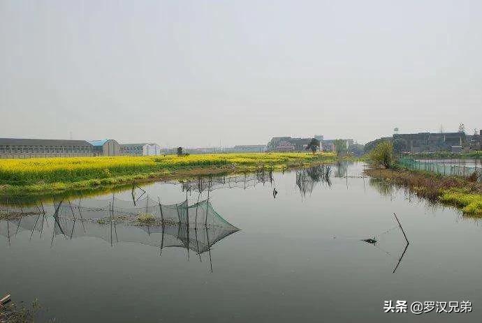 天津荷塘区发展怎么样