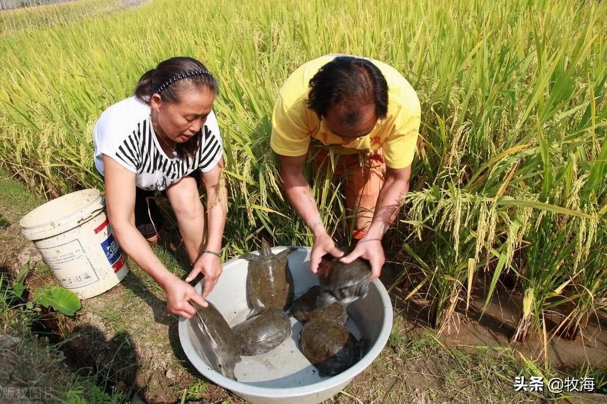 远方好物美妆
