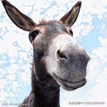 郑州鲁能公馆为什么这么便宜？