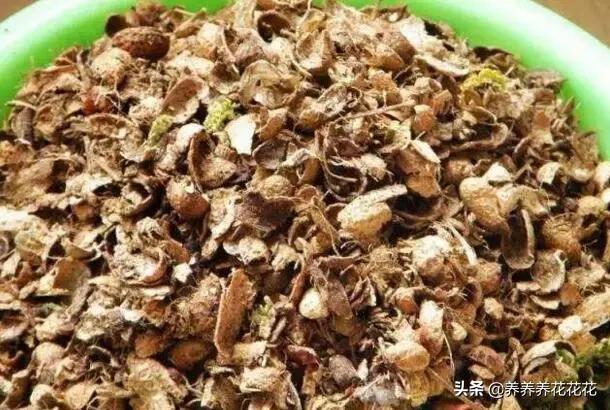 使用花生壳搭建网站