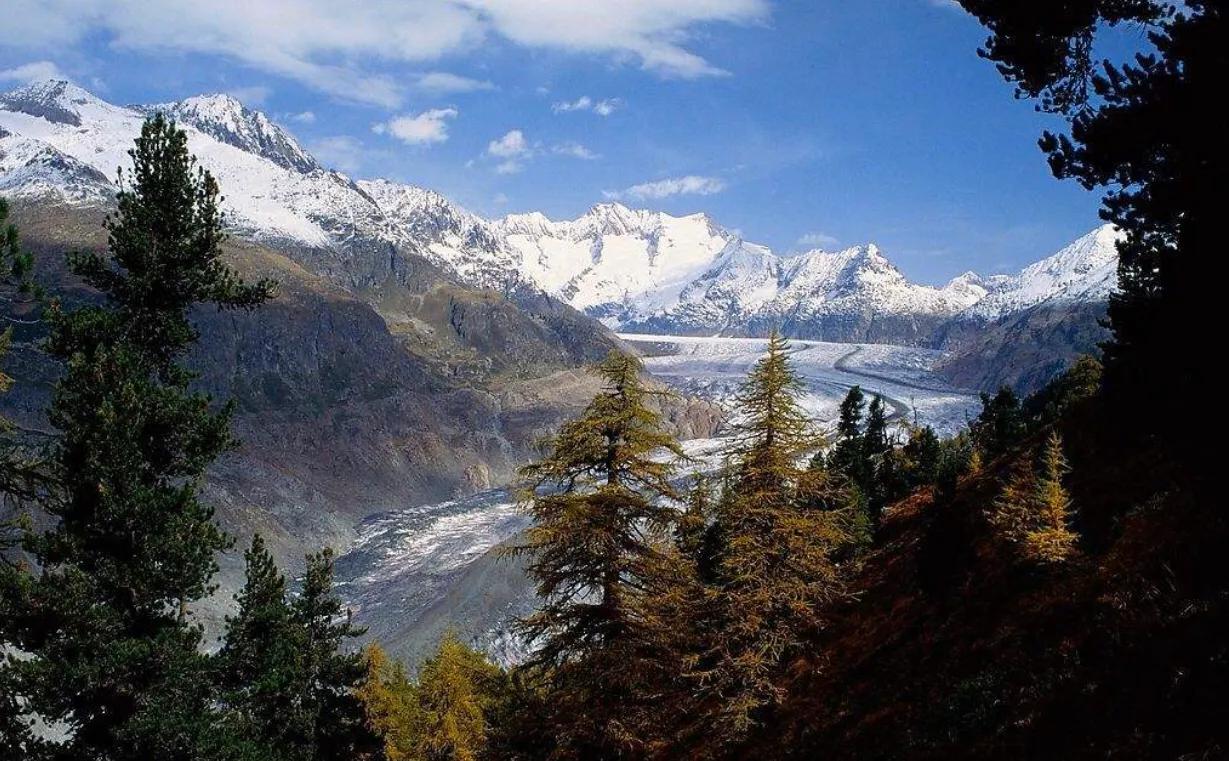 ,支持出售照片的网站哪个好?