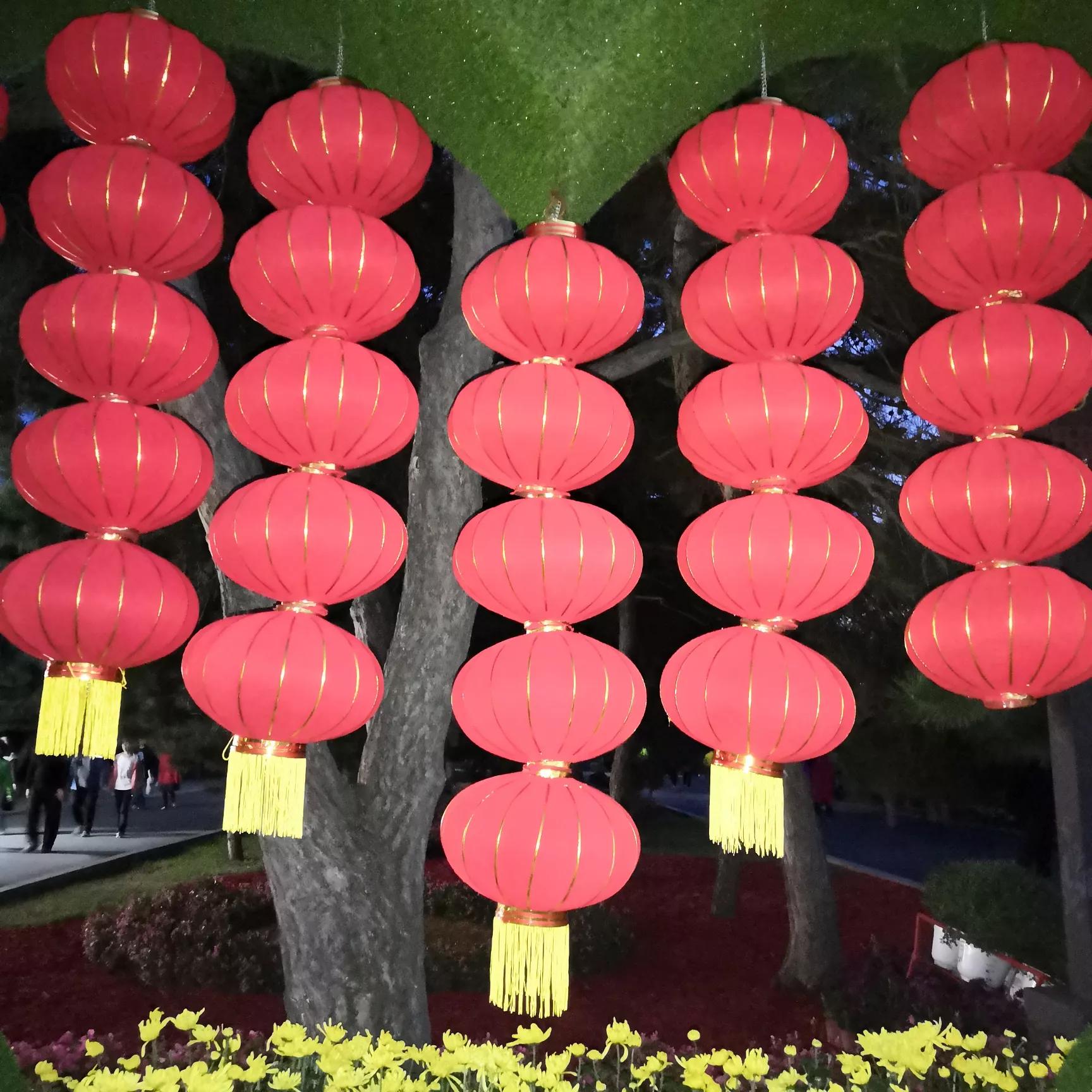 沈阳世博园菊花开放时间？