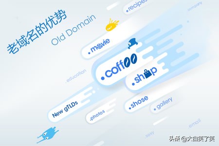 怎么搭建网站域名引擎优化