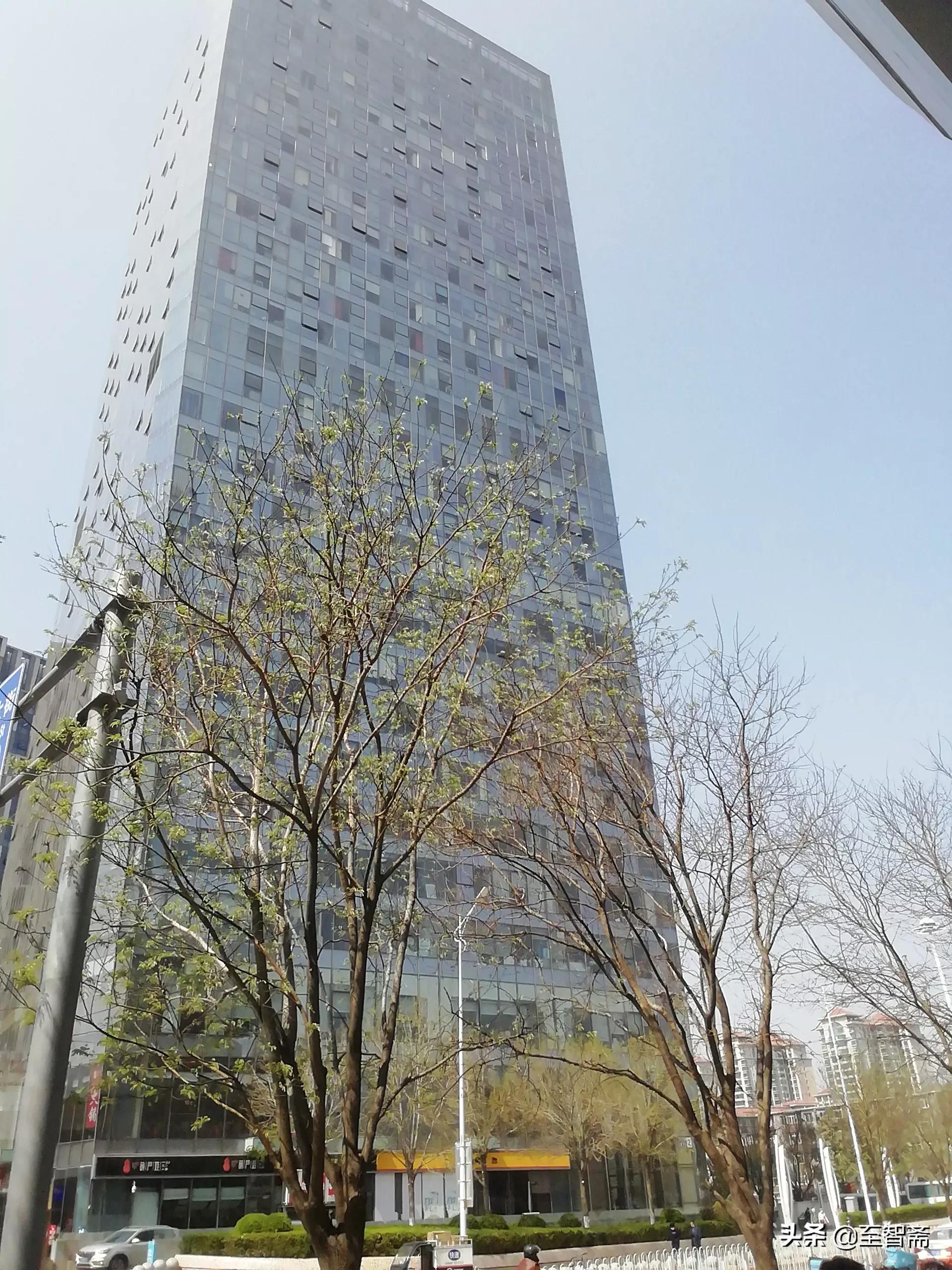 汽车报价签约,汽车报价签约流程