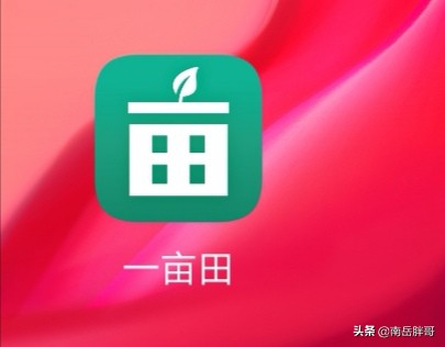 赣州全网网络营销公司,赣南脐橙的销售渠道?