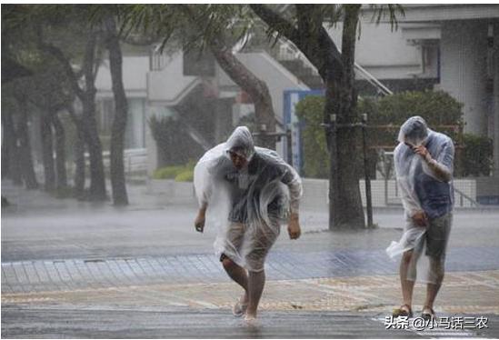 [广东特大暴雨将来袭]2号台风生成预计登陆广东，河南，安徽，江苏等地大暴雨，特大暴雨何时来？