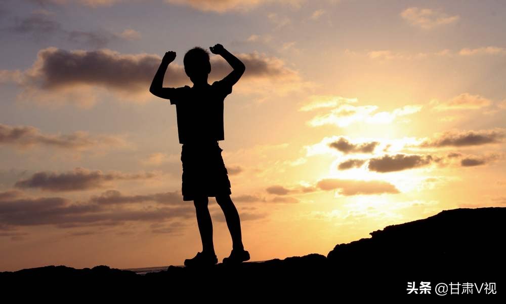 怎么通过怎么通过车牌号查车主姓名