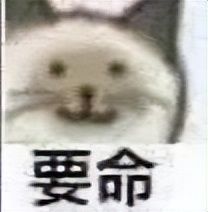 app开发模板下载