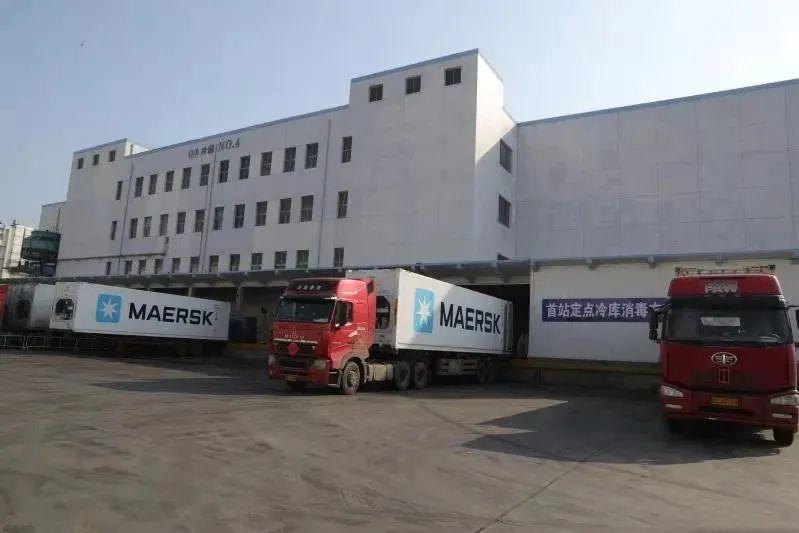 大连市疫情什么样了啊