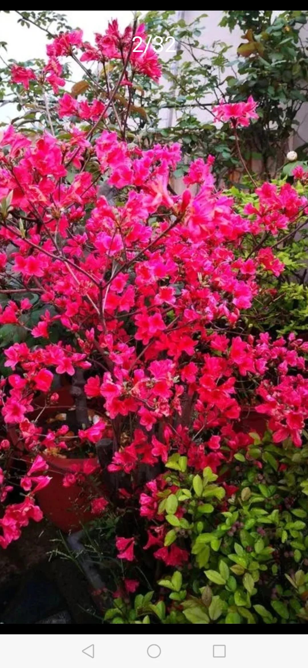 河南哪个城市房子好