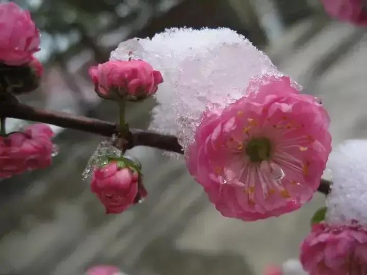 26岁干部当选副镇长（48岁提拔为副镇长还能当上镇长吗？）