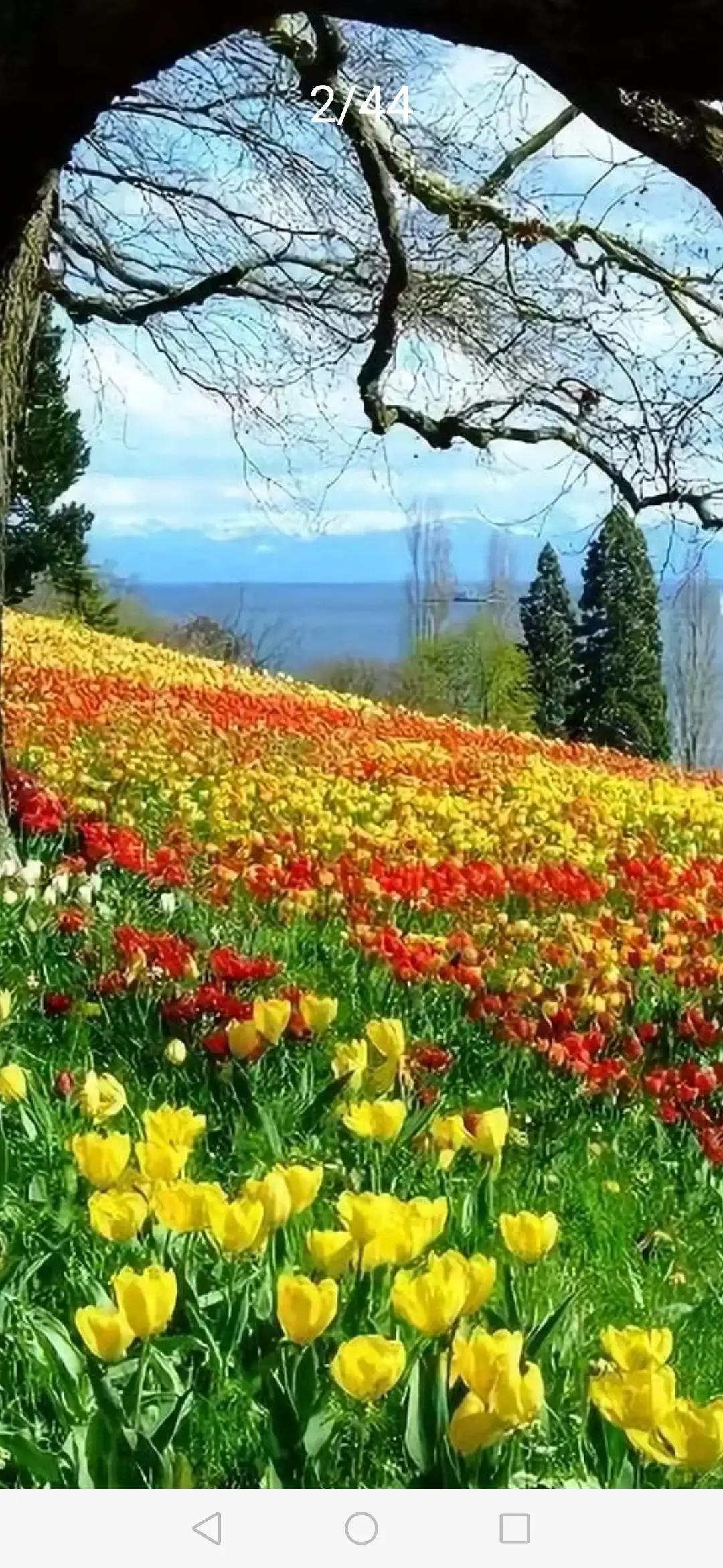 河南哪个城市房子好