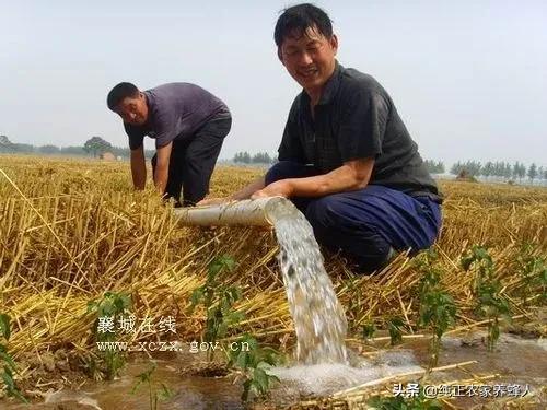 河南遭40年难遇干旱