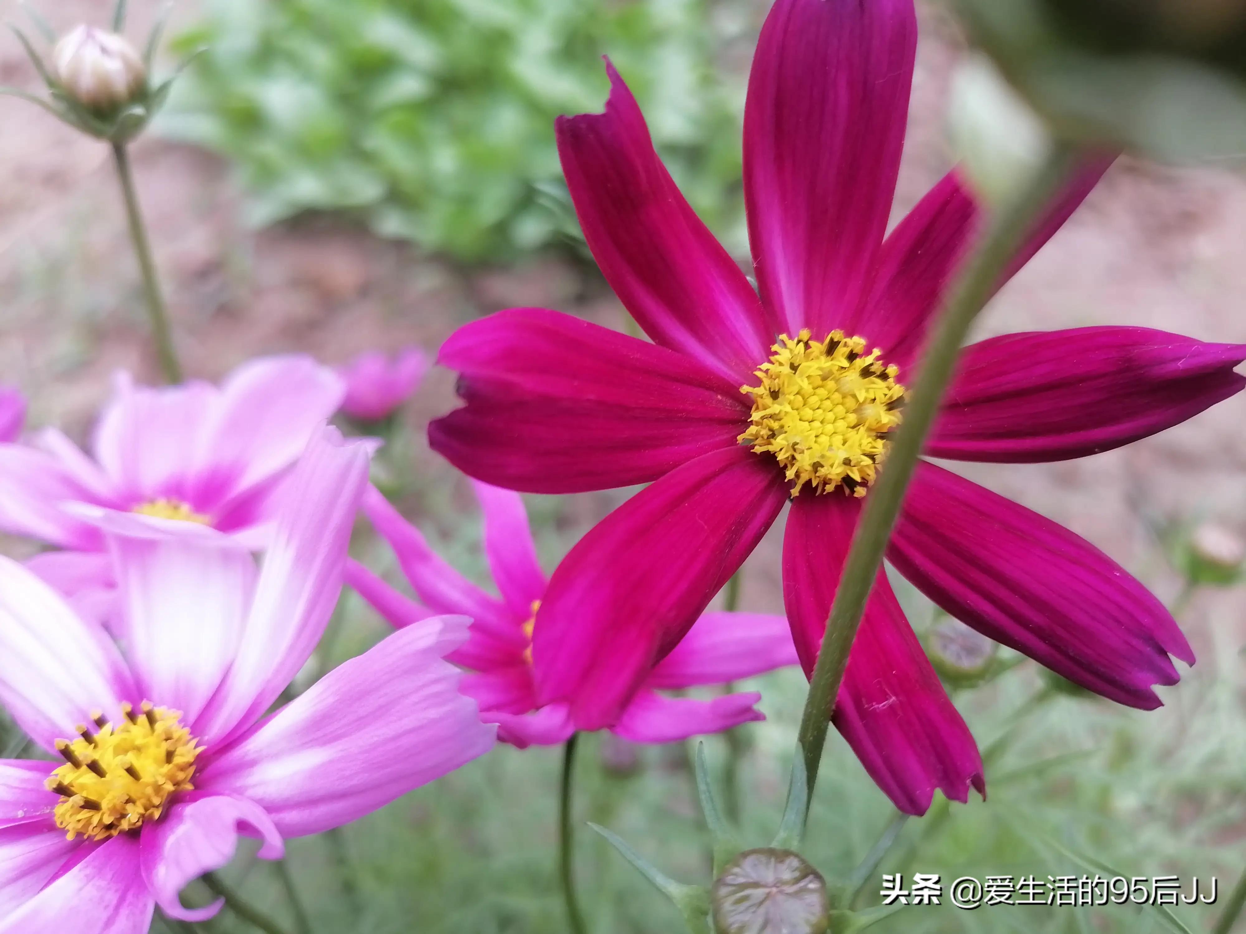 难得遇见(难得遇到一次是什么意思?) 难得遇见(难得遇到一次是什么意思?)