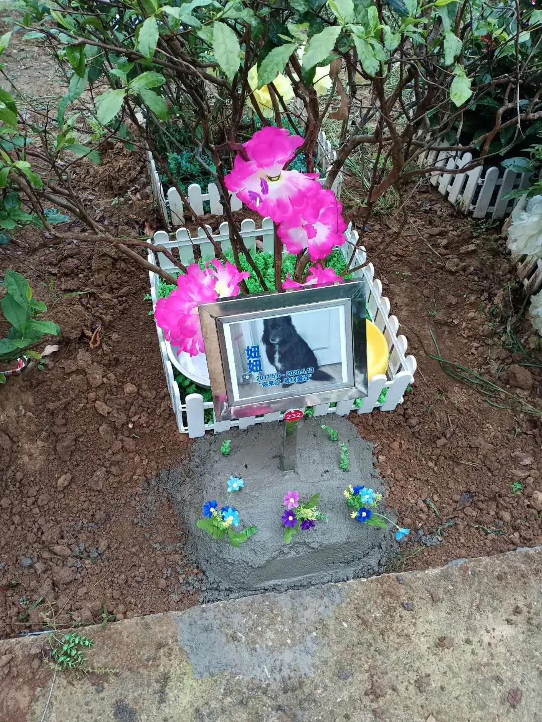 武汉市火化在什么地方