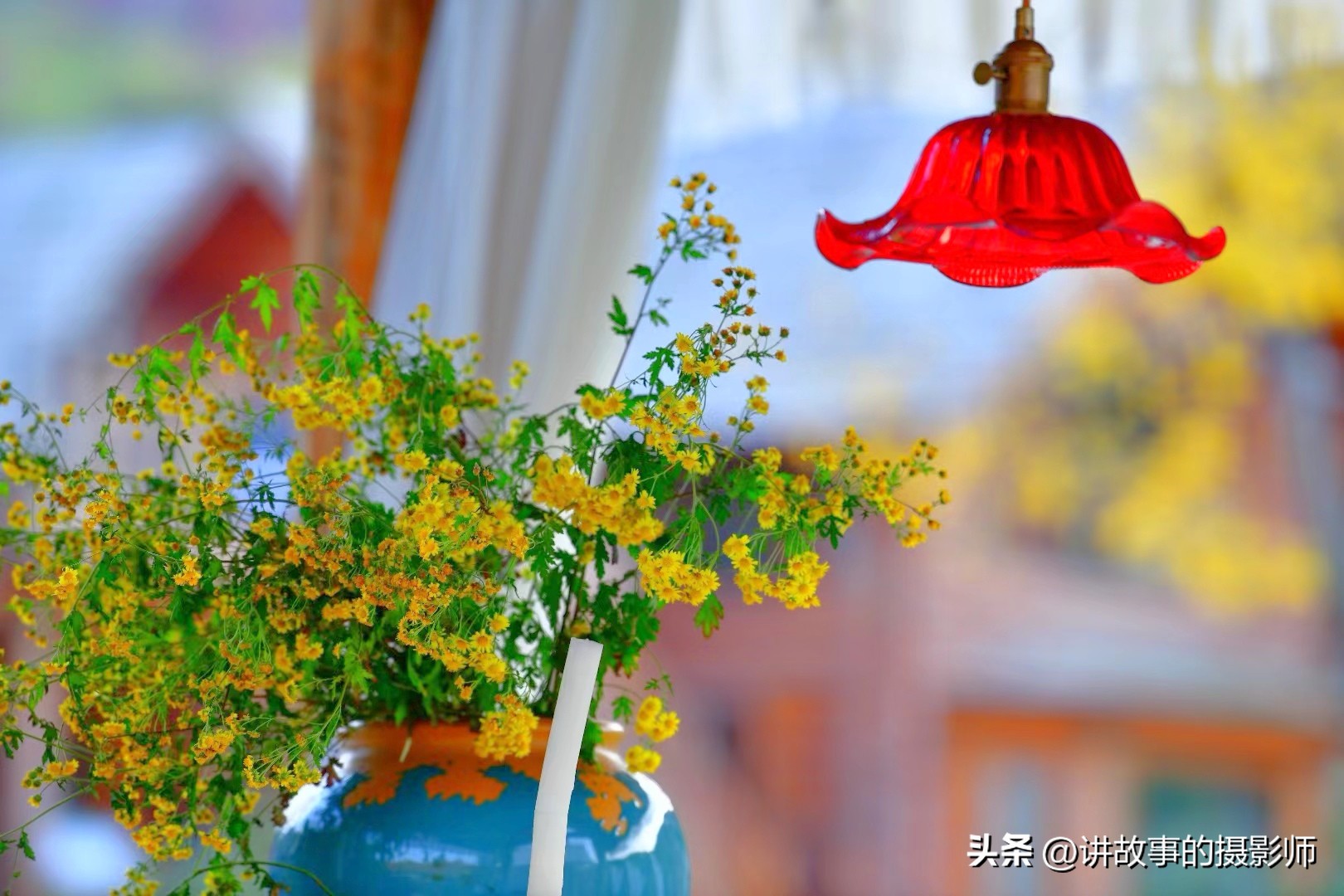 便携相机便携相机排行榜前十名 便携相机便携相机排行榜前十名