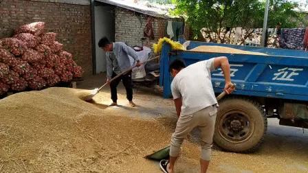 河南夏粮集团产量怎么样