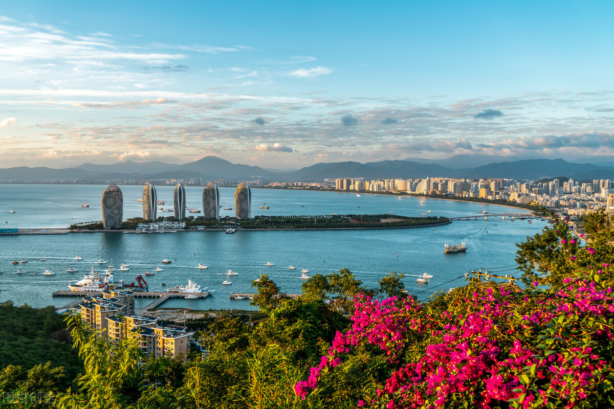 上海哪个街道能回苏州市