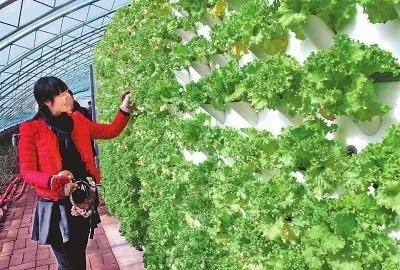 美瞳美妆品类好物
