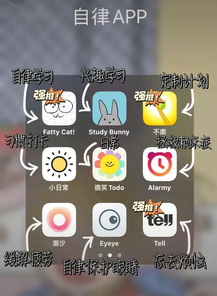 免费搭建网站图片软件