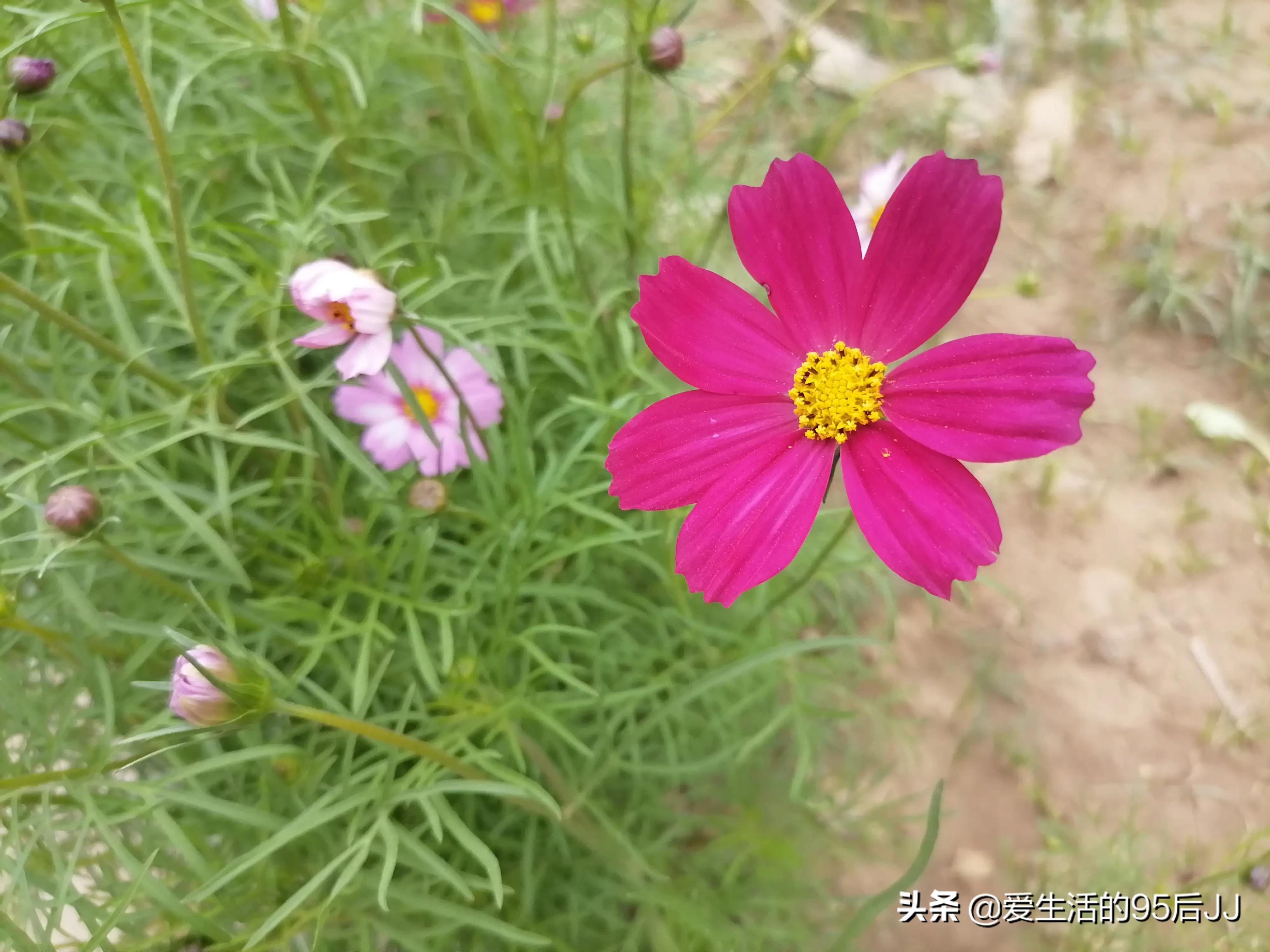 难得遇见（难得遇到一次是什么意思？）