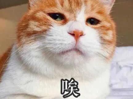 [怎么才能让]怎么才能让自己变的乐观，开朗，没有烦恼？