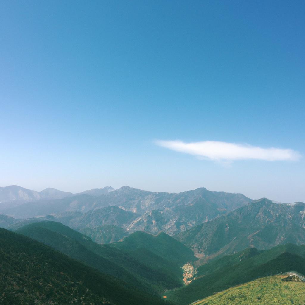 劳荣枝案死刑核准已近尾声，她申诉的理由究竟靠谱吗？：95年黑老大核准死刑