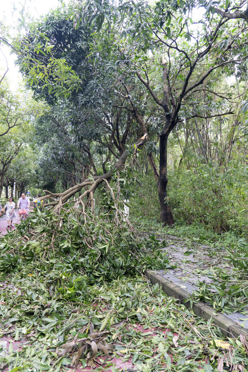 台风或登陆广东沿海
