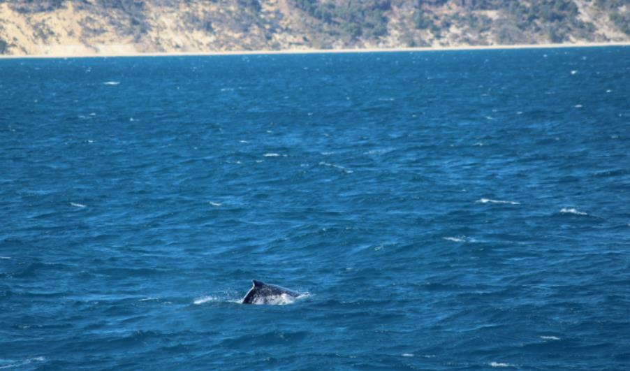 海外生活度假海岛度假，国外海岛度假