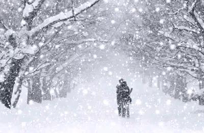 河南现在雪怎么样