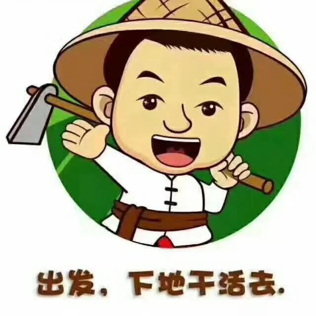 cherry汽车报价,cherry 汽车