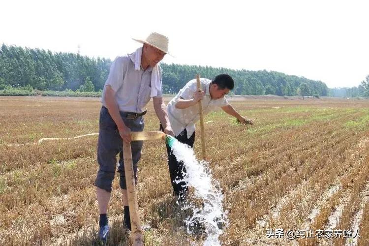 河南遭40年难遇干旱