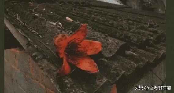 [美国试射核导弹]俄乌冲突60天，俄试射核导弹震慑美国北约，美国北约会害怕吗？