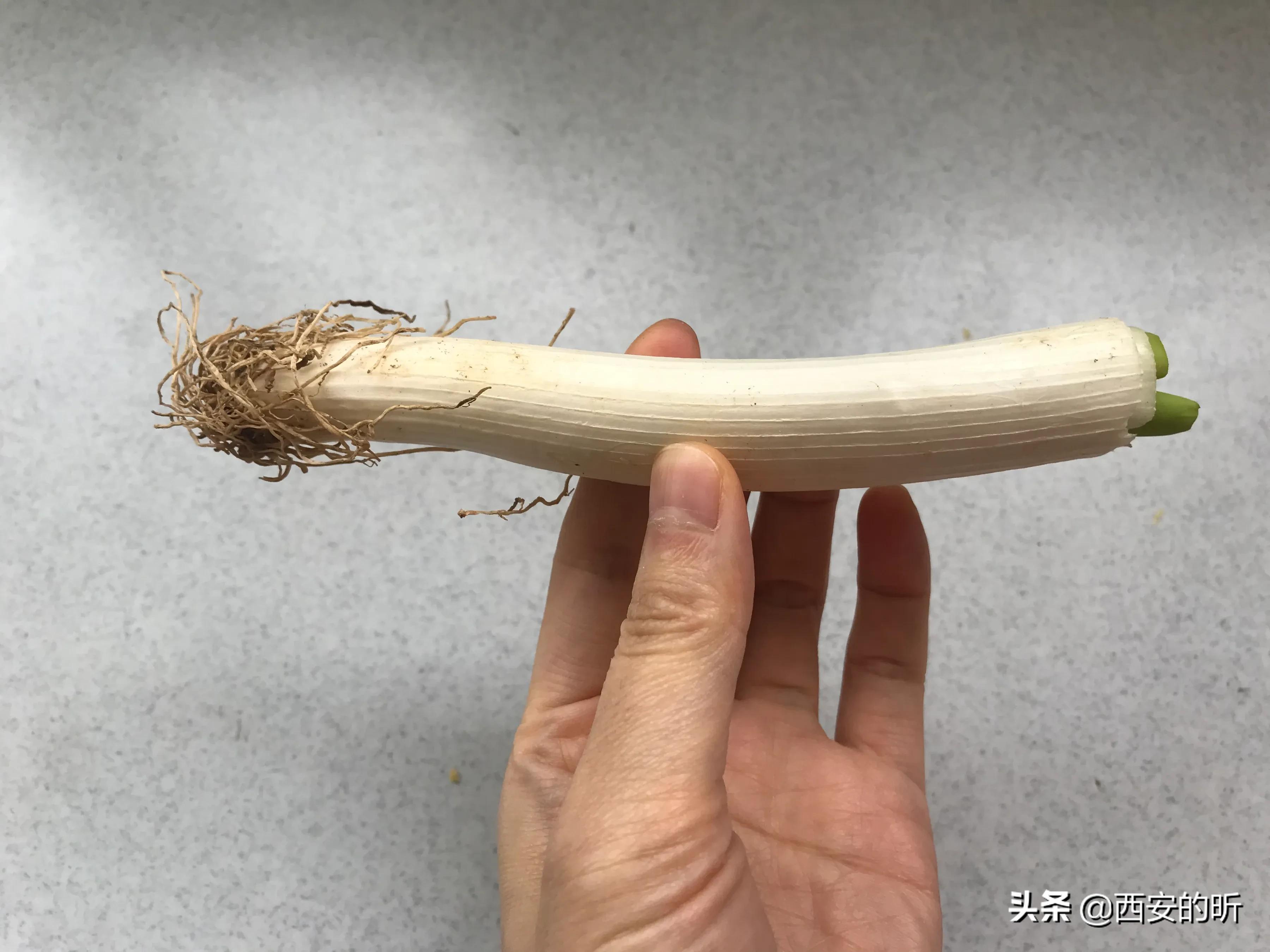 西安封城,老百姓在家每天都吃的什么,能不能晒出来分享一下? 西安封城,老百姓在家每天都吃的什么,能不能晒出来分享一下?