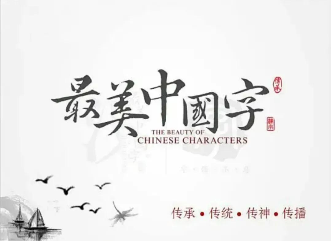 海外生活视频拍摄，海外生活视频拍摄软件
