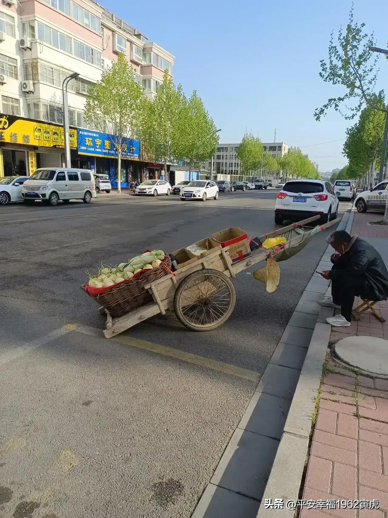 老头乐排队上高速