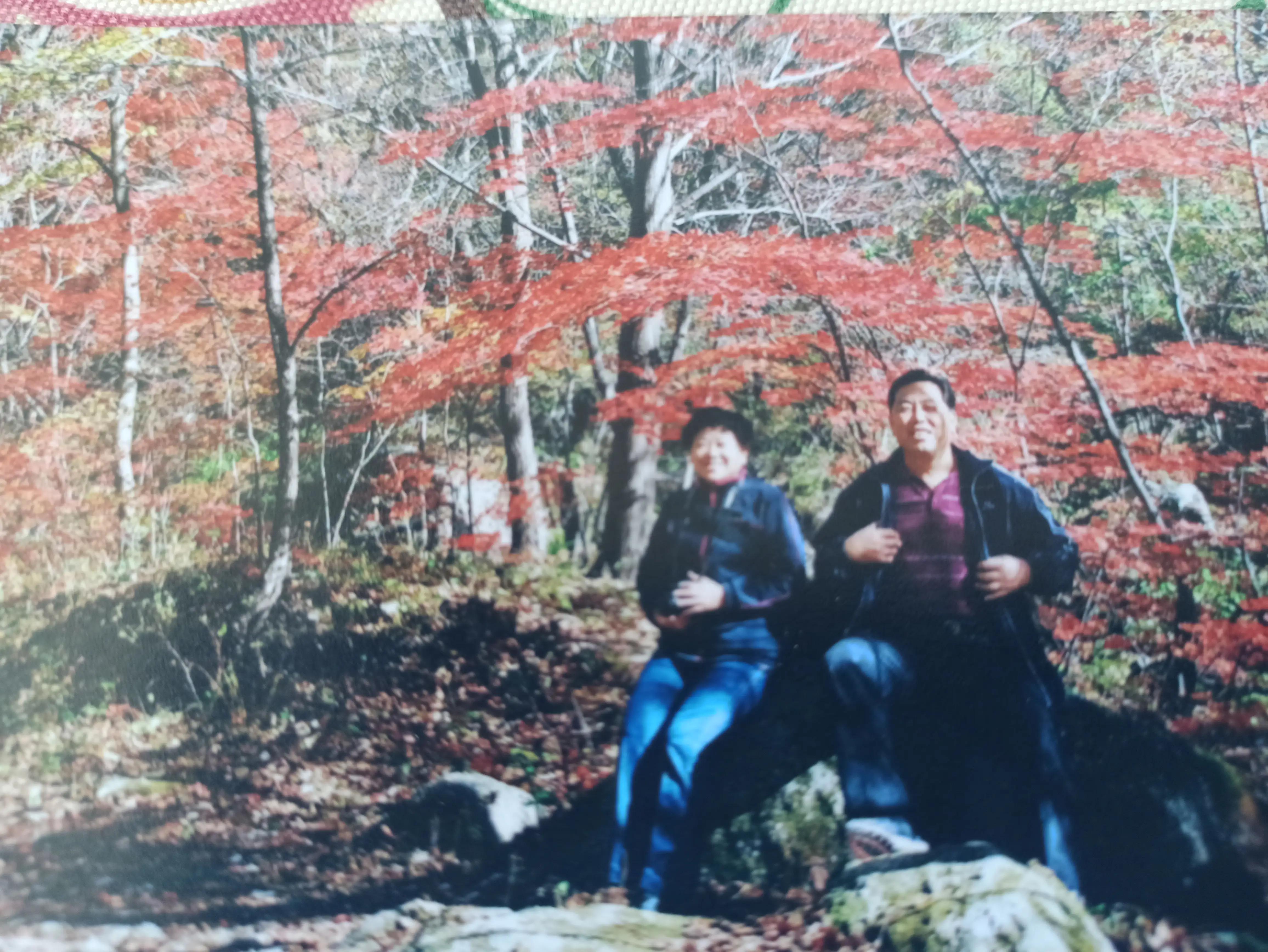 带46名老人去旅游 （50多位老人众筹买房，抱团养老15年却「曲终人散」，原因是什么？老龄化社会如何解决养老问题？）