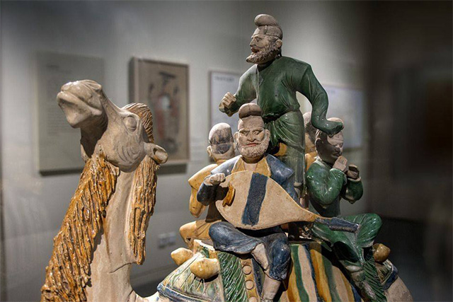 微调轴琵琶和普通轴的区别？：琵琶相