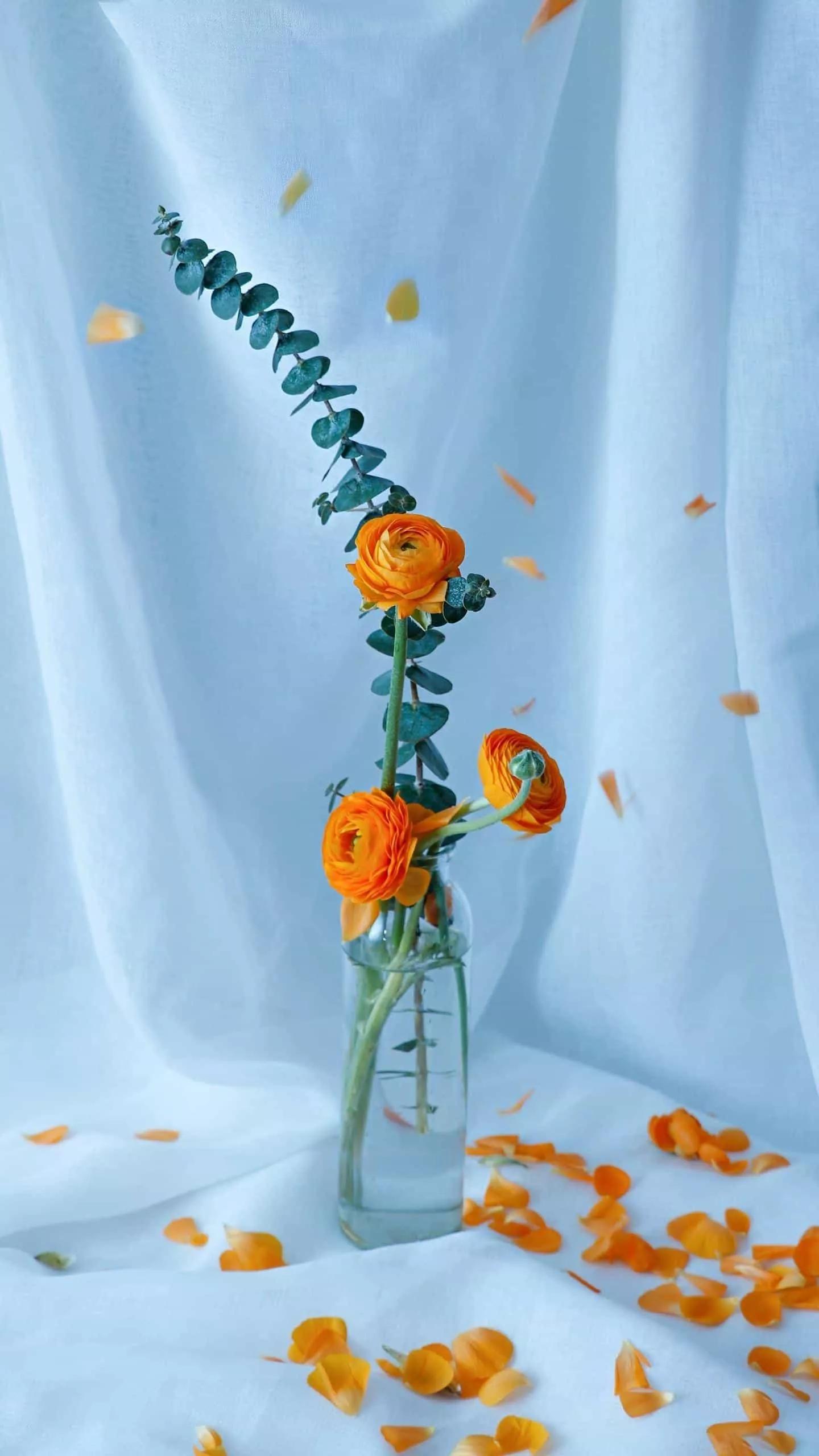 过年朋友圈（新年朋友圈什么时候发？）