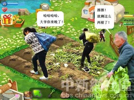 女子半夜偷菜赔2千