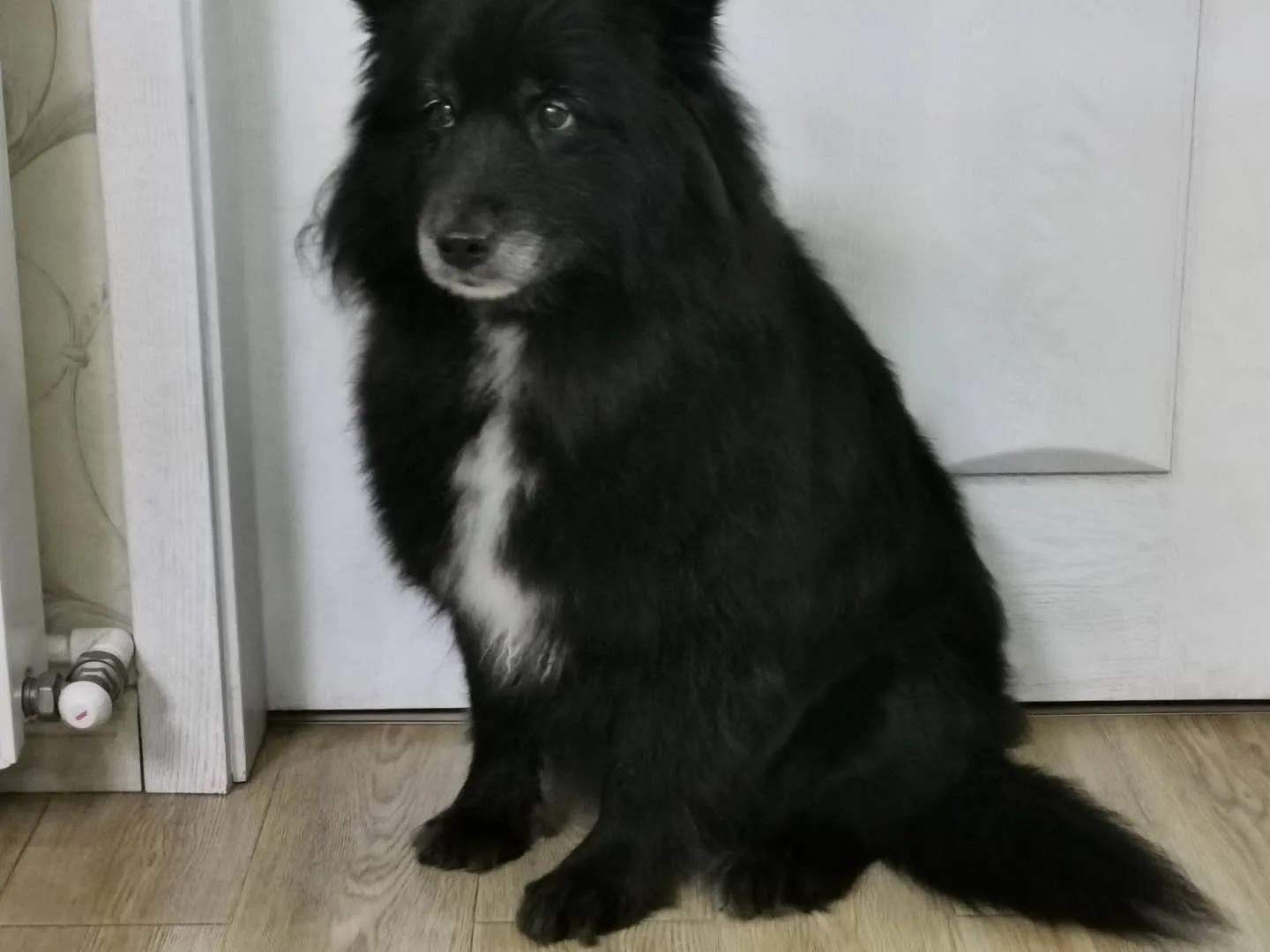 武汉市火化在什么地方