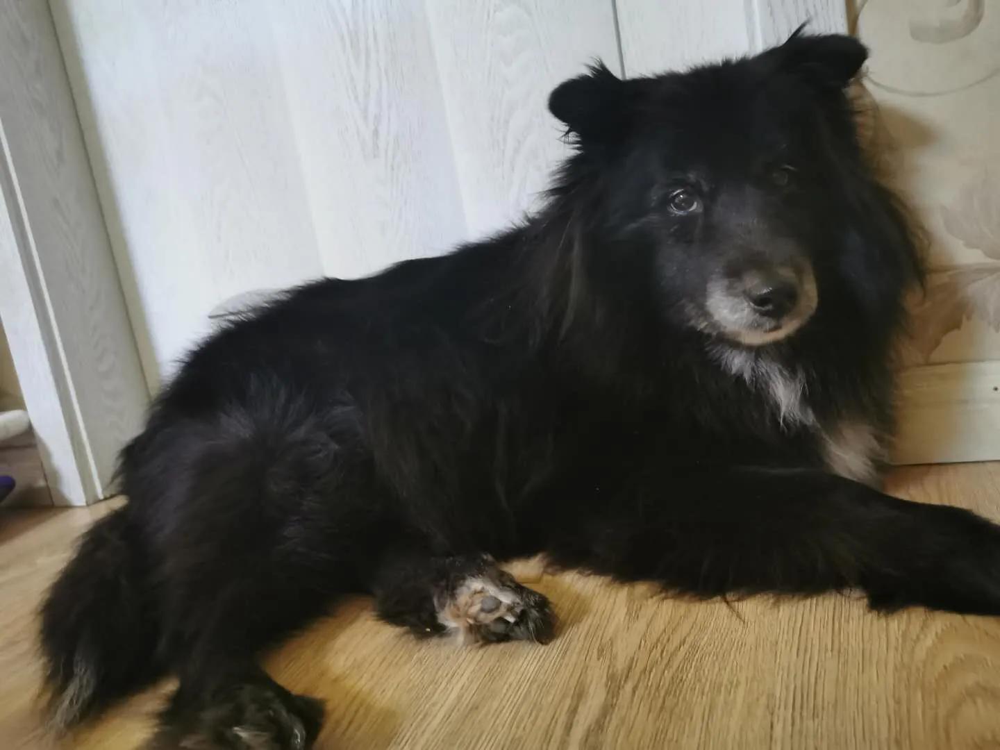 武汉市火化在什么地方