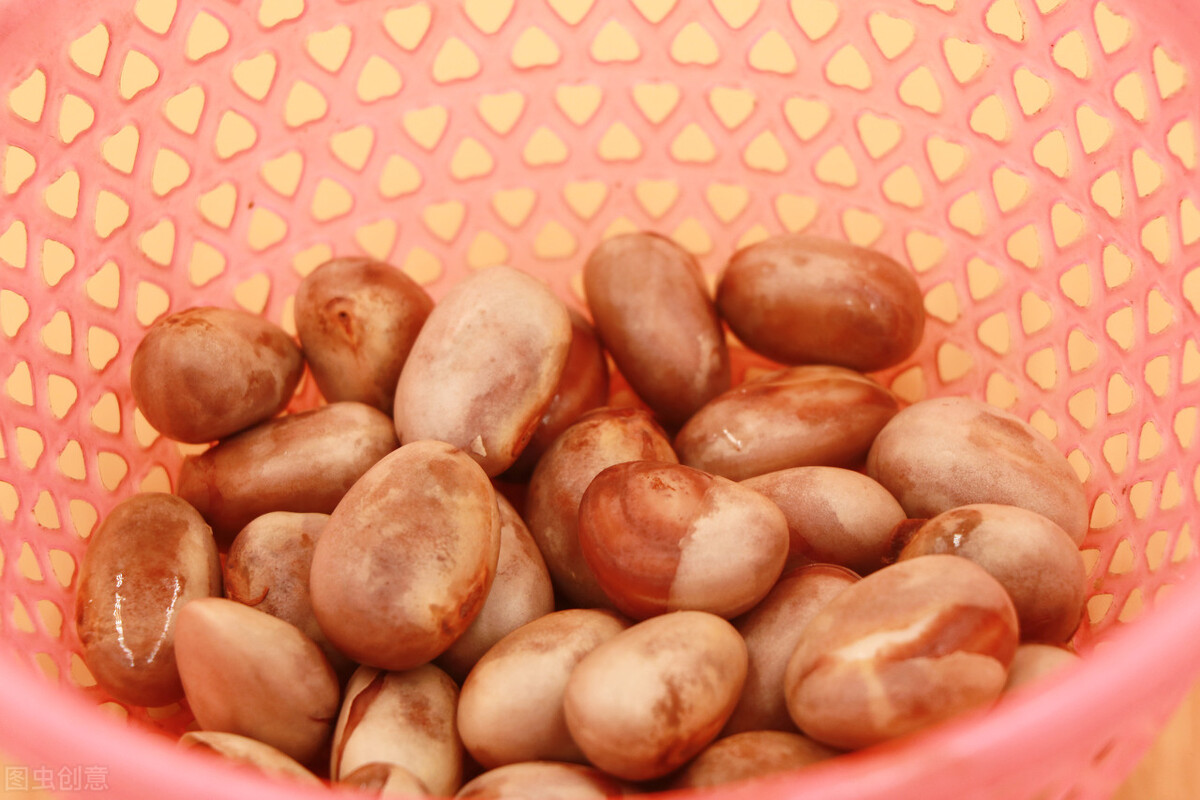 [凤梨就是菠萝吗]凤梨与菠萝一样甜吗？二者的区别在哪？