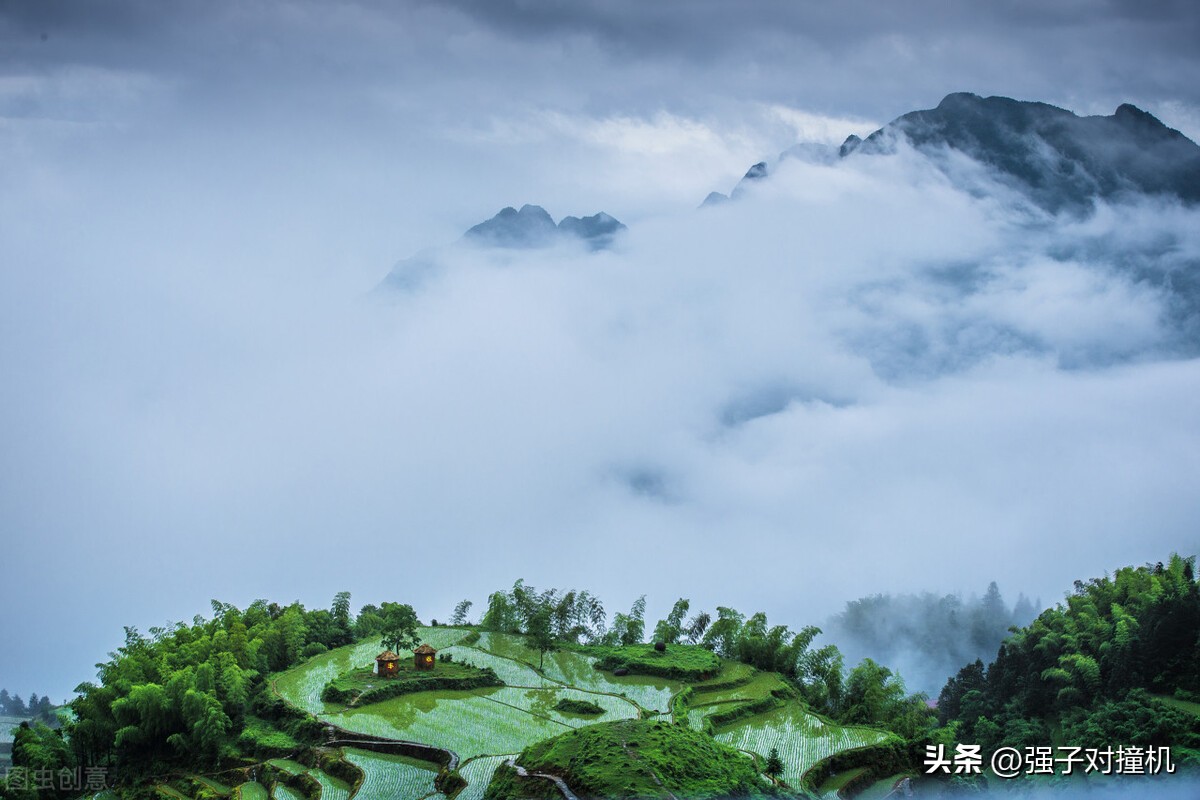 浙江app线上开发推广