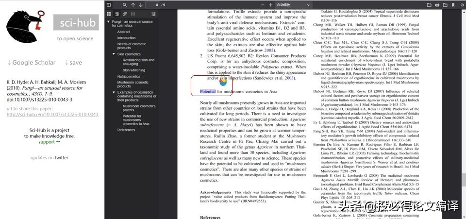 app是大写还是小写？：软件的英语