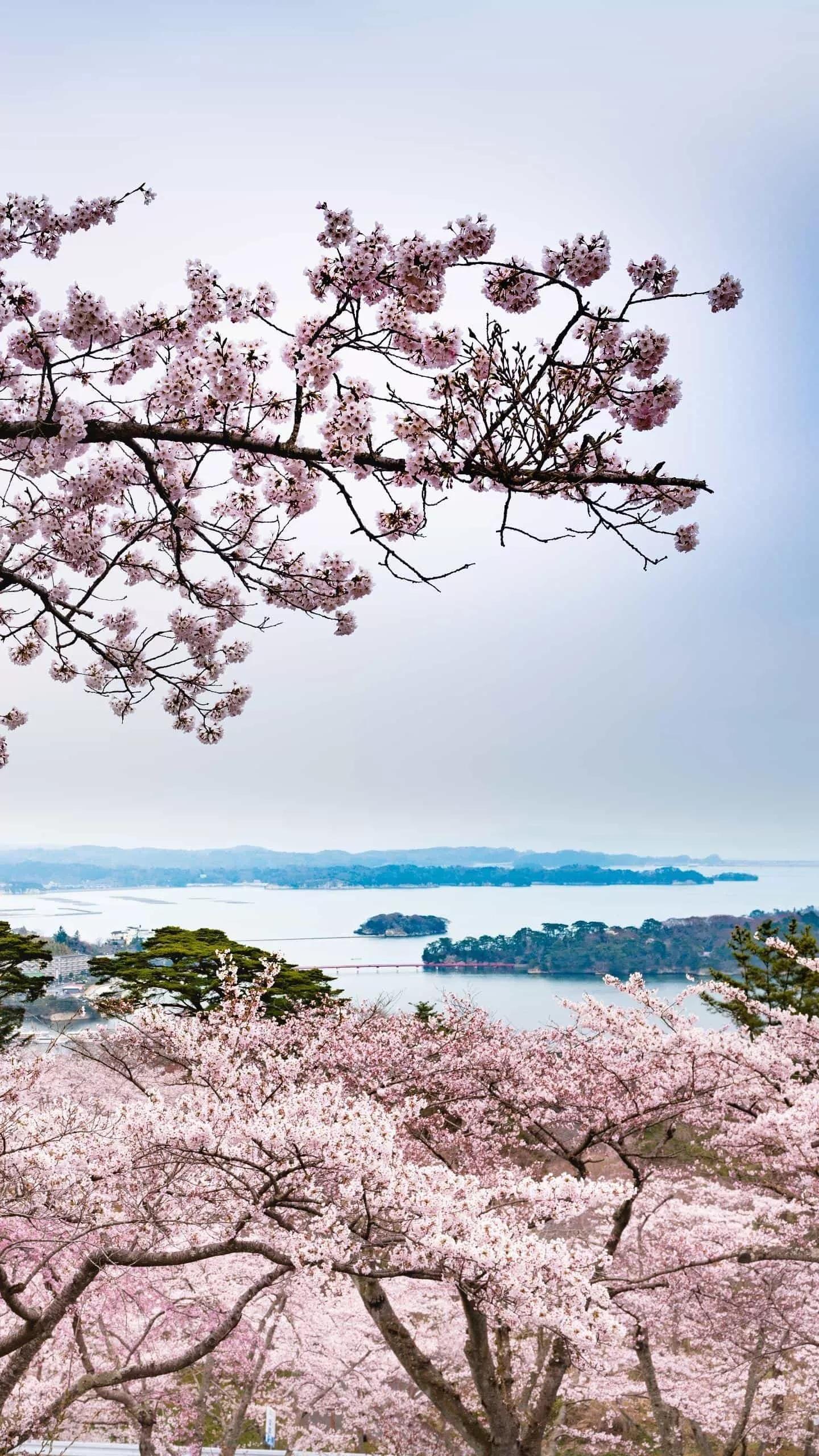 过年朋友圈（新年朋友圈什么时候发？）