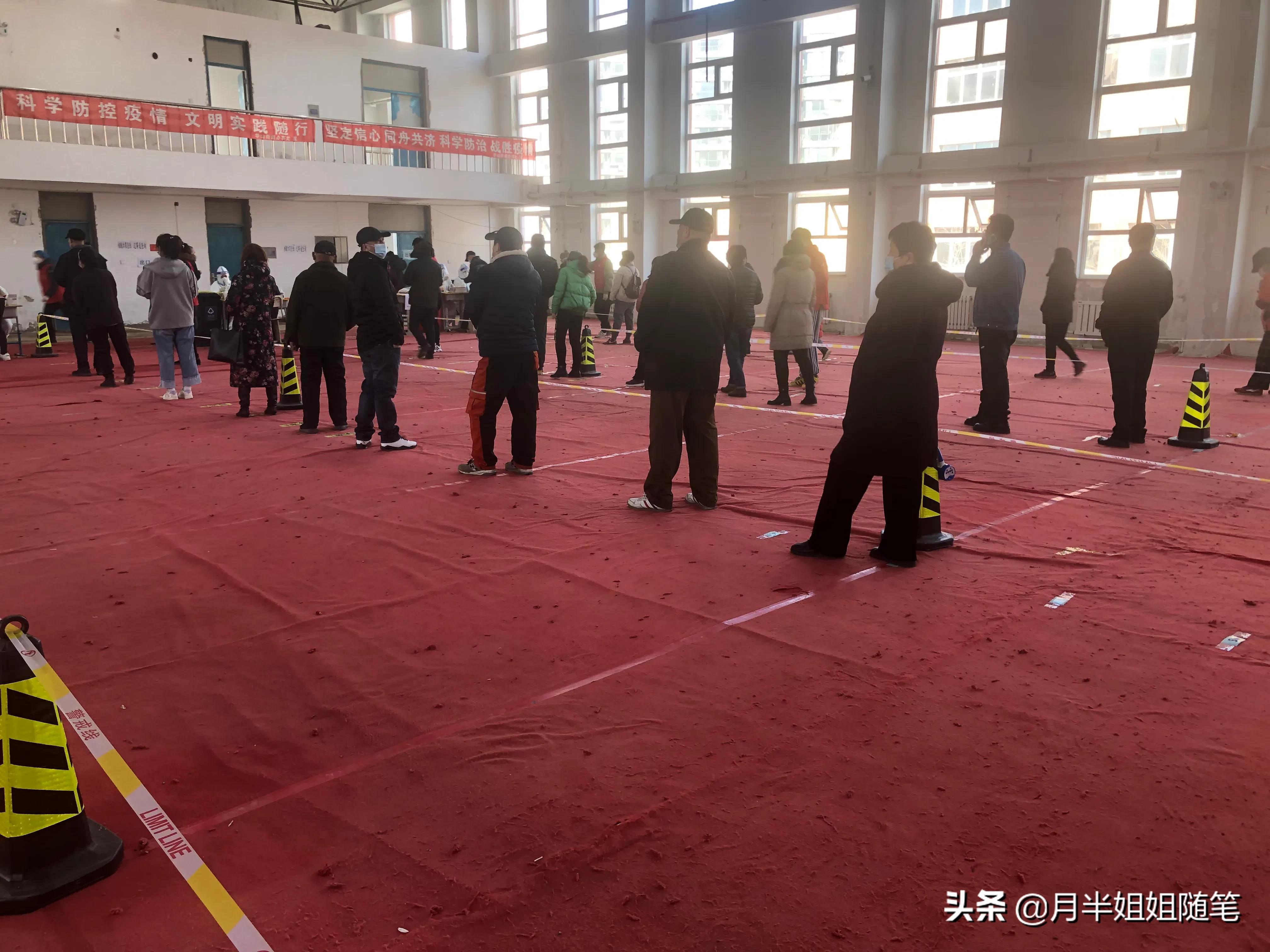 沈阳市全民核酸怎么查询