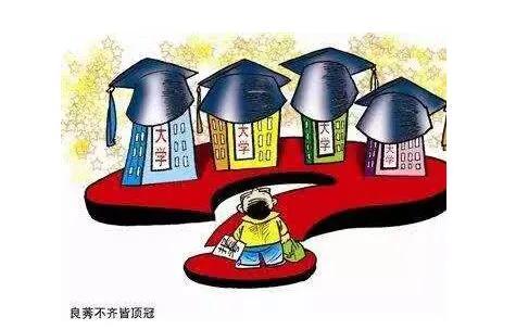 合肥市学院是什么大学