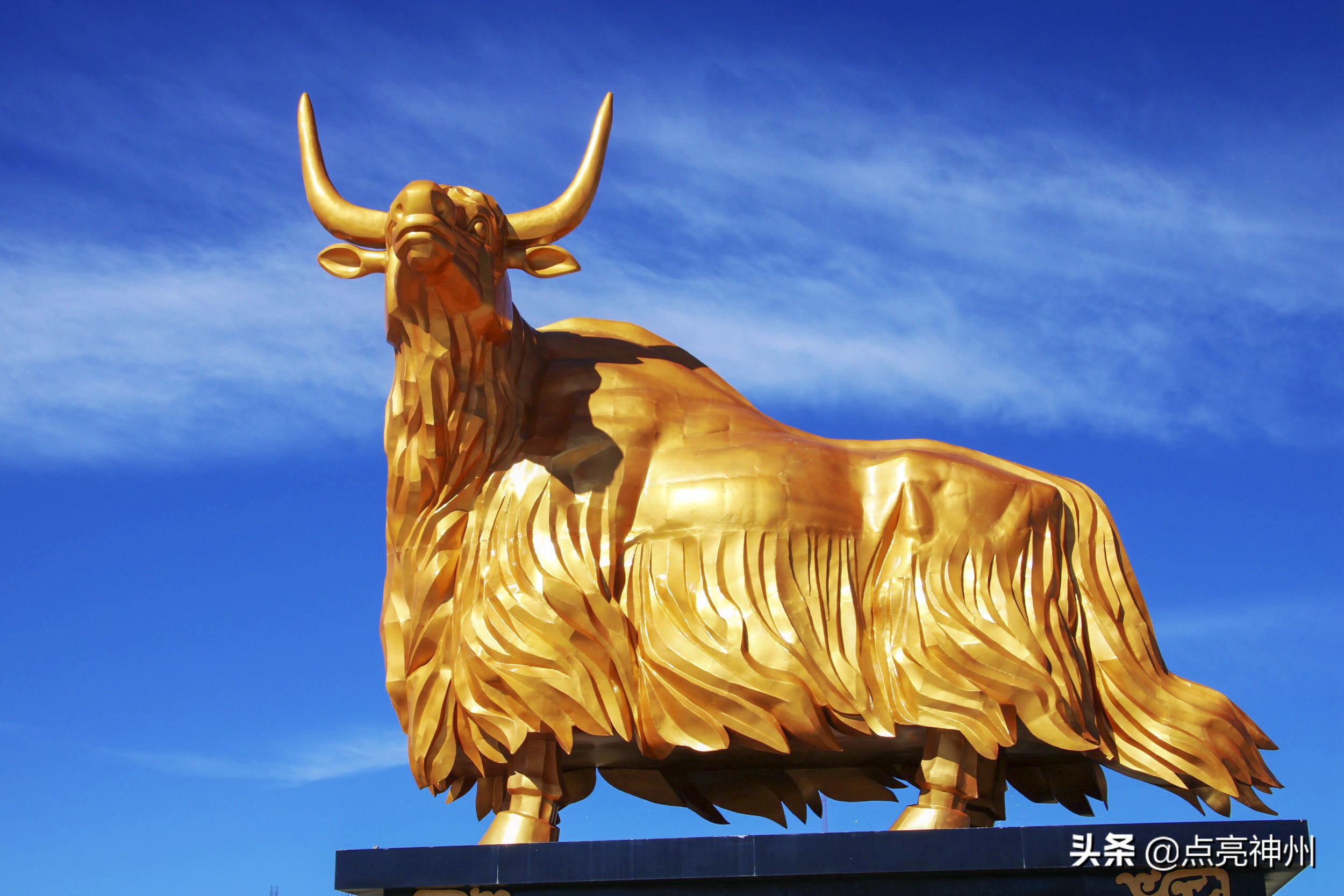 西宁市和大连市哪个好些